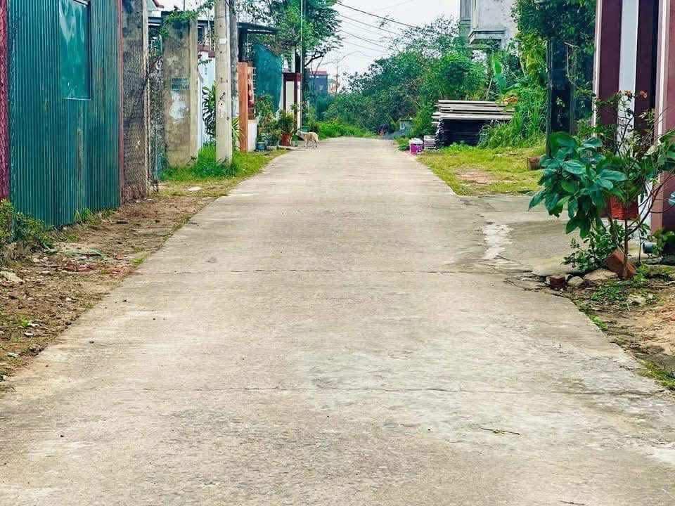 Đất ở Bắc Lý Đồng Hới 132m² giá 1.5 tỷ - Sổ đỏ chính chủ, hướng Tây Bắc!