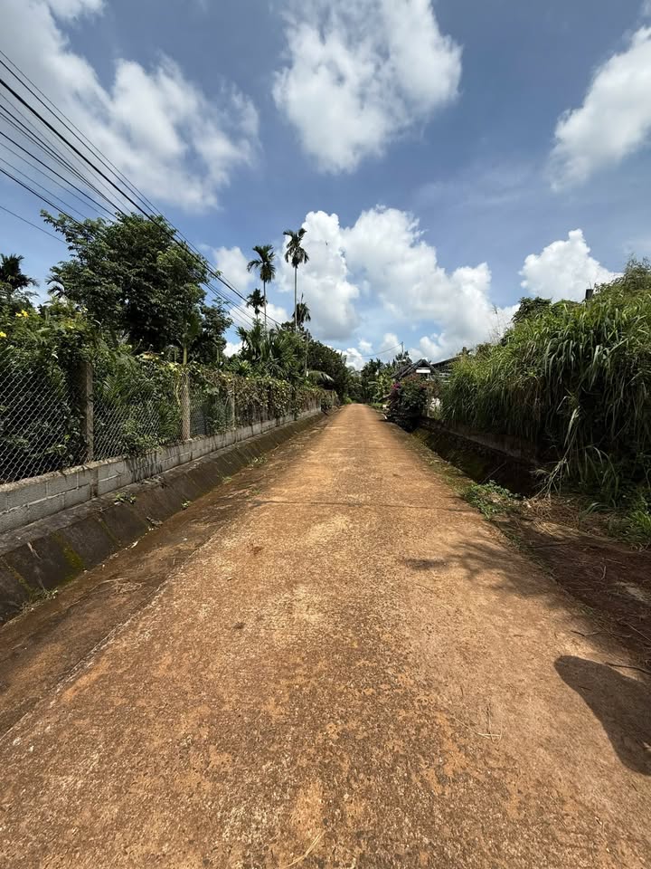 Lô đất Tân Lập, Buôn Ma Thuột 135m² giá 1.25 tỷ - Đầu tư sinh lời ngay!