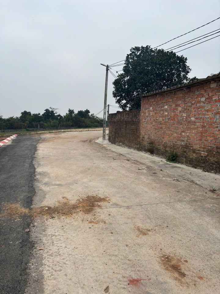 Đất thổ cư 100m² xã Cẩm Lĩnh, giá chỉ 700 triệu - Vị trí đắc địa, giao thông thuận tiện!