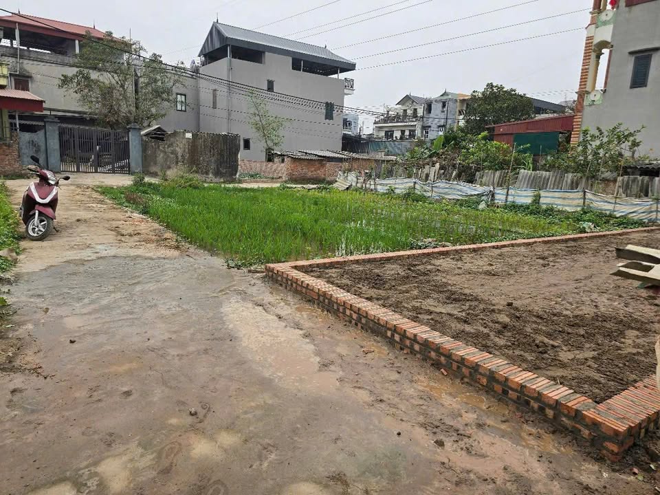 Đất nền Xuân Nộn 46.8m² giá 3 tỷ - Đầu tư sinh lời ngay!