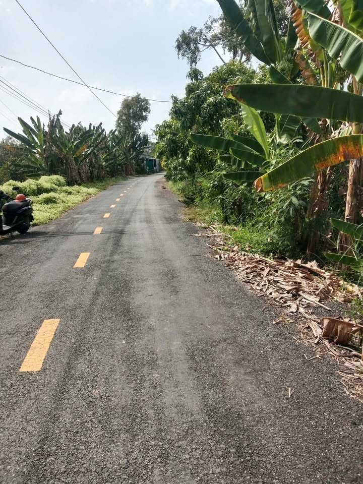 Đất mặt tiền nhựa xã Mỹ Lương, Cái Bè 3700m² giá 1.5 tỷ - Tiềm năng đầu tư lớn!