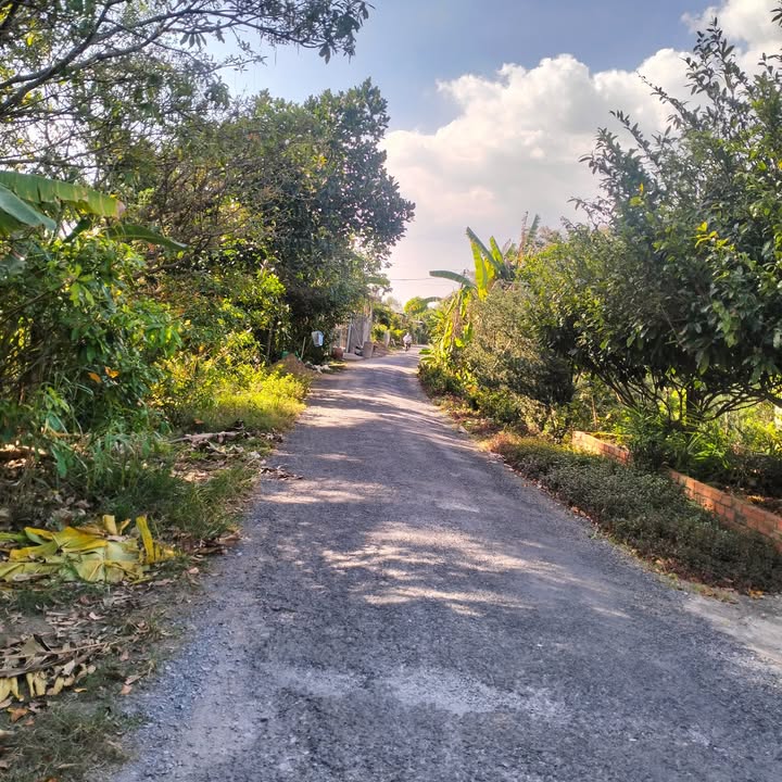 Đất nền Ngũ Hiệp, Tiền Giang 264m² giá 1.04 tỷ - Cơ hội đầu tư hấp dẫn!