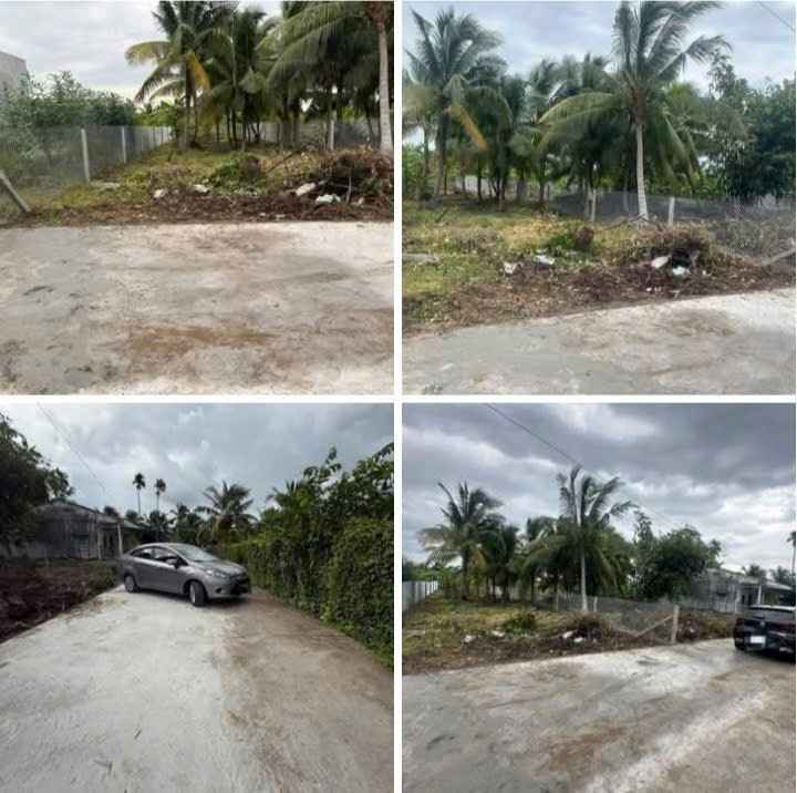 Đất nền biệt thự 450m² tại Phú Tân Bến Tre - Sổ đỏ chính chủ, giá 1.35 tỷ!