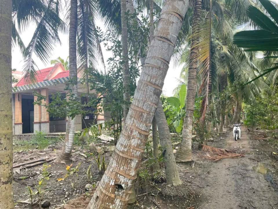 Đất nền Thạnh Phú Đông 2600m² giá 1.3 tỷ - Cơ hội đầu tư hấp dẫn!