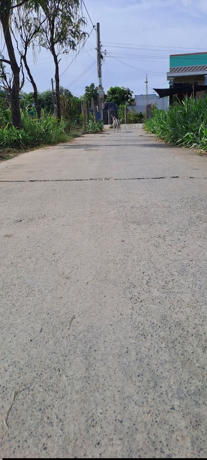 Đất nền 162m² tại Ấp 6, Tân Tây, Gò Công Đông - Giá 350 triệu, Sổ đỏ chính chủ!