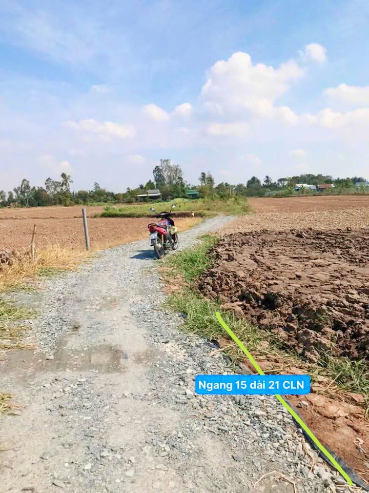 Đất nền 315m² tại Phước Trung, Gò Công Đông - Giá chỉ 295 triệu, cơ hội vàng đầu tư!