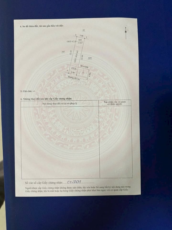 Đất thổ cư Chánh Phú Hòa Bến Cát 115m² giá chỉ 980 triệu - Đầu tư sinh lời ngay!