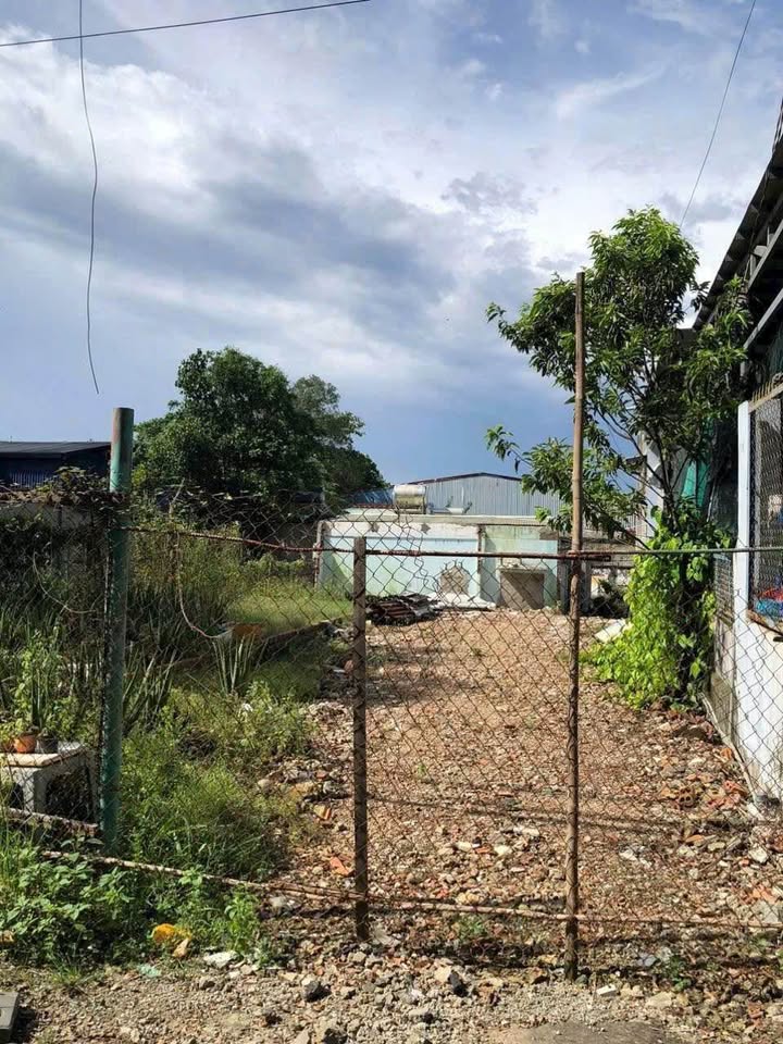 Đất mặt tiền Bùi Thị Xuân Hóa An, Biên Hòa 320m² giá 4.5 tỷ - Đầu tư sinh lời ngay!