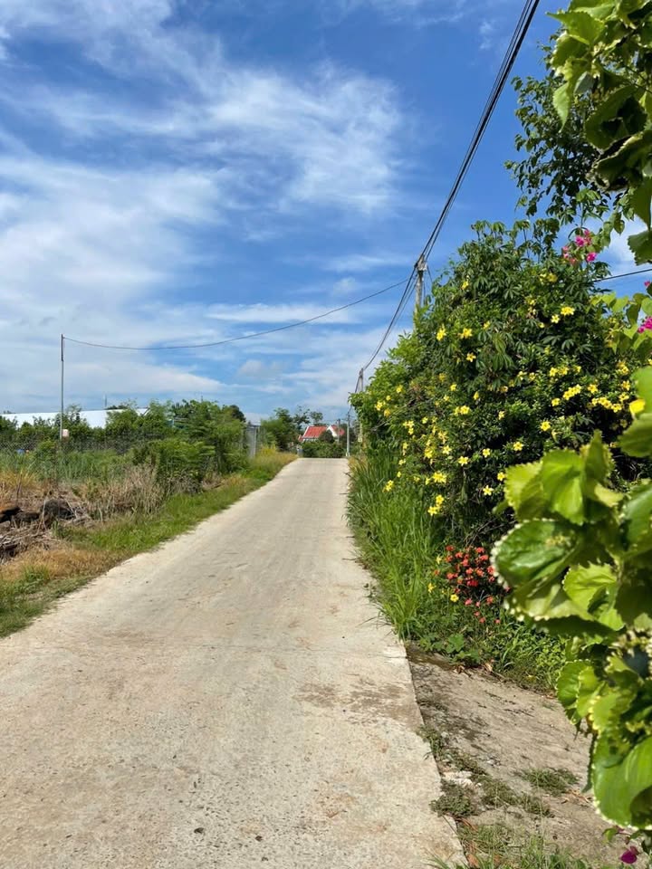 Đất nền Tân Phú, Đồng Nai 3600m² giá 650 triệu - Đất trồng cây ăn quả lý tưởng!