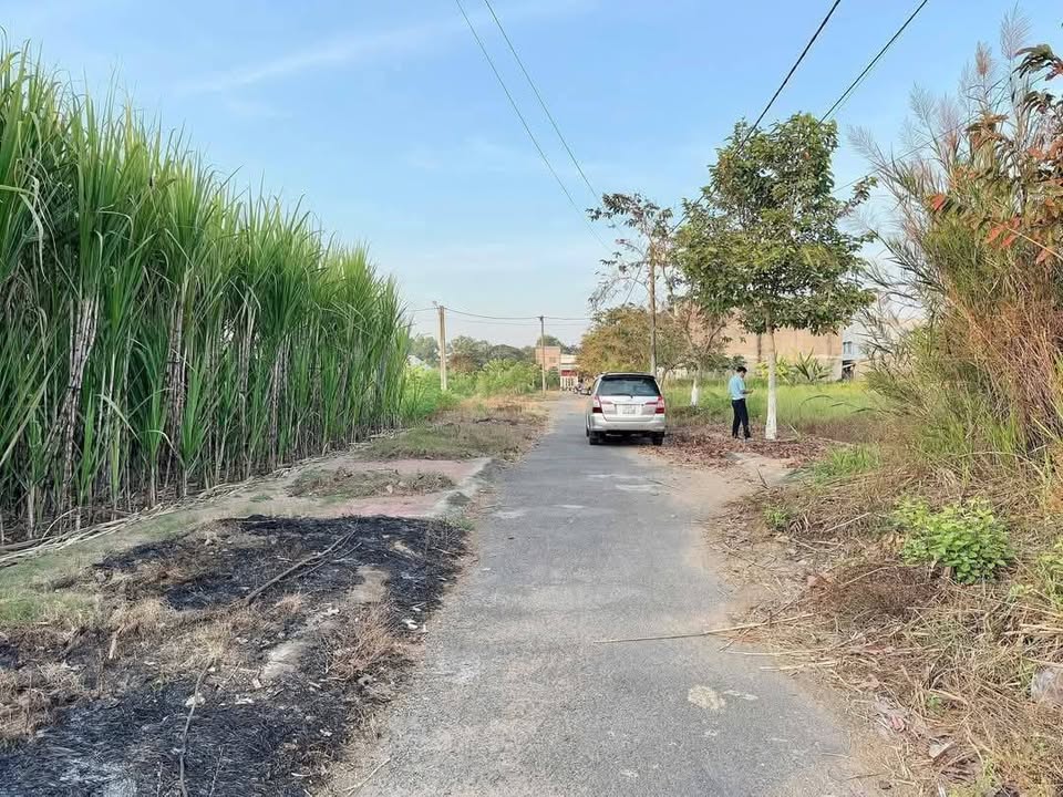 Đất thổ cư 125m² xã Phú Quới, Long Hồ - Giá chỉ 1.25 tỷ, sẵn sàng xây dựng!