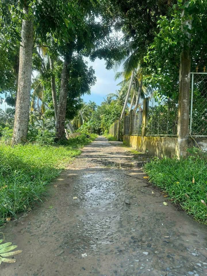 Đất vườn 1244m² phường Tân Hạnh Vĩnh Long giá 1.55 tỷ - Cơ hội đầu tư hấp dẫn!