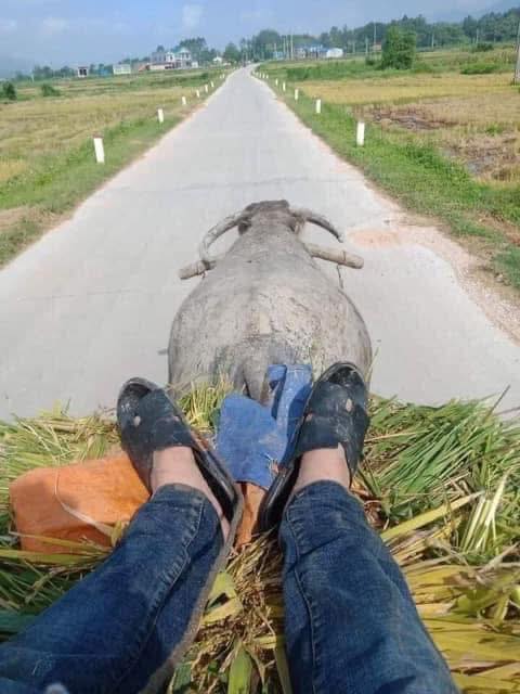 Đất thổ cư Phường Ba Hàng, Phổ Yên 100m² giá 800 triệu - Đầu tư sinh lời ngay!