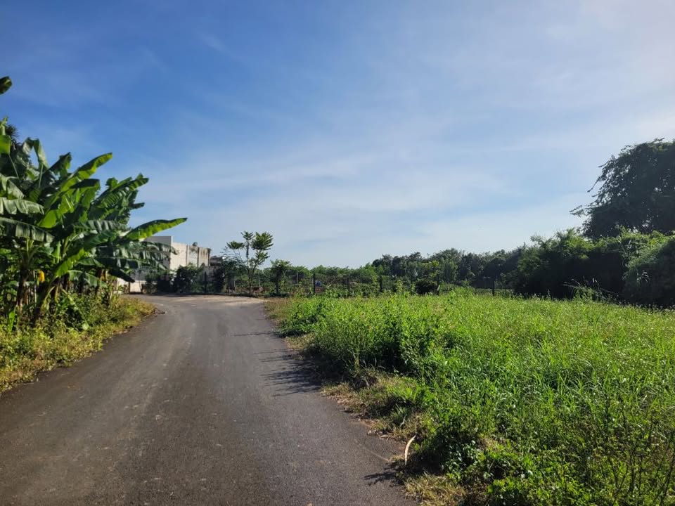 Đất thổ cư Hòa Long, Bà Rịa - 153m² giá 1.5 tỷ - Đầu tư sinh lời cao!