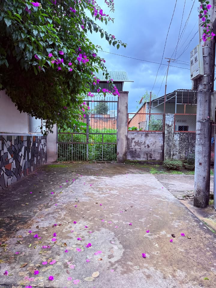 Đất trung tâm phố Phan Đình Phùng, Yên Đỗ 290m² giá 2.1 tỷ - Cơ hội đầu tư hấp dẫn!