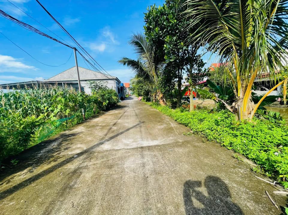 Đất nền thôn Hoà, xã Hoà Tiến, Hưng Hà 120m² - Giá chỉ 800 triệu!