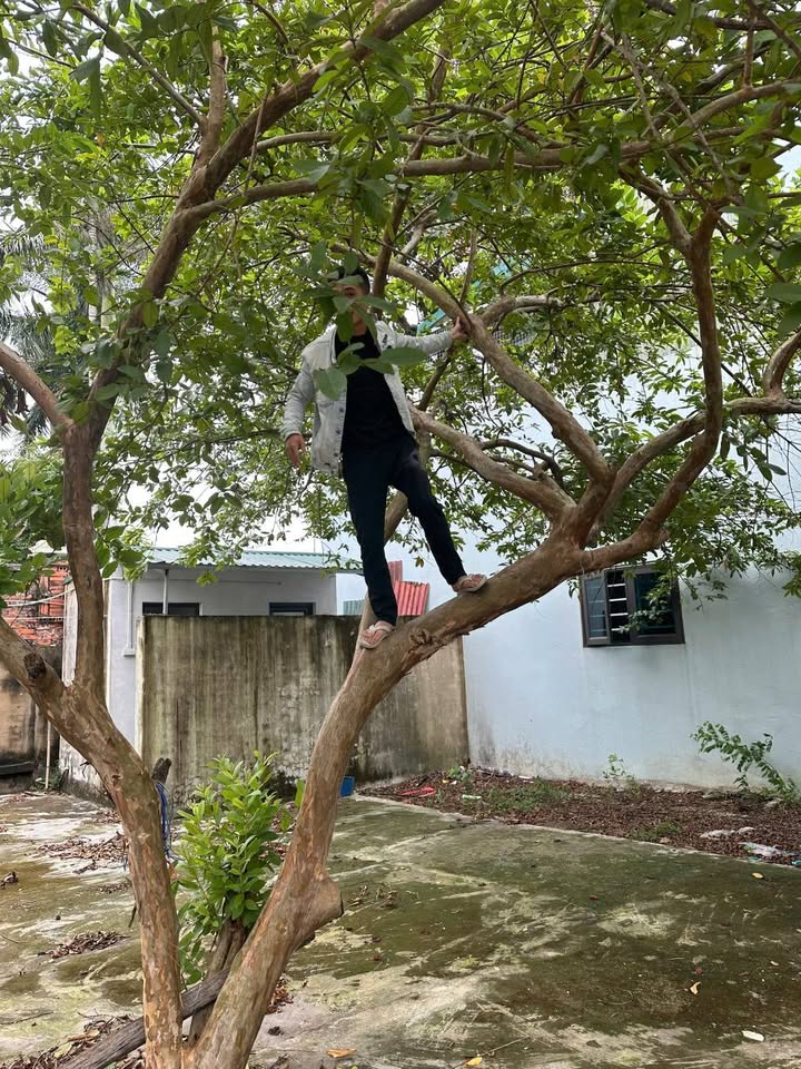 Đất nền Quảng Hưng, Thanh Hóa 465m² giá chỉ 7.5 tỷ - Cơ hội đầu tư tuyệt vời!