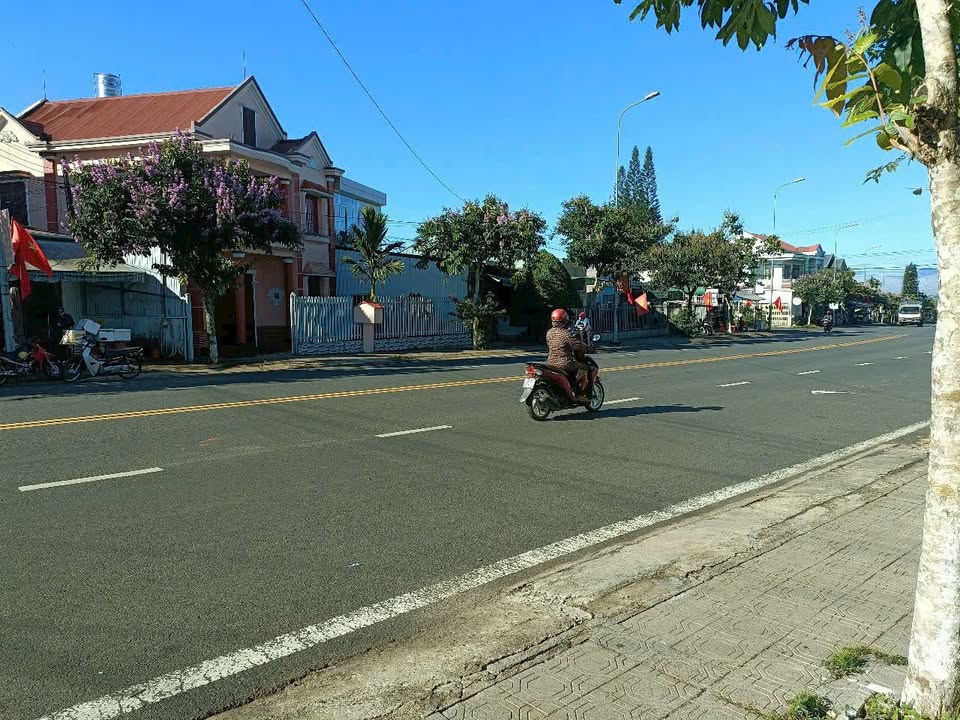 Bán FrontHouse mặt tiền Phan Đình Phùng, Bảo Lộc 125m² giá 3.5 tỷ - Đầu tư sinh lời ngay!