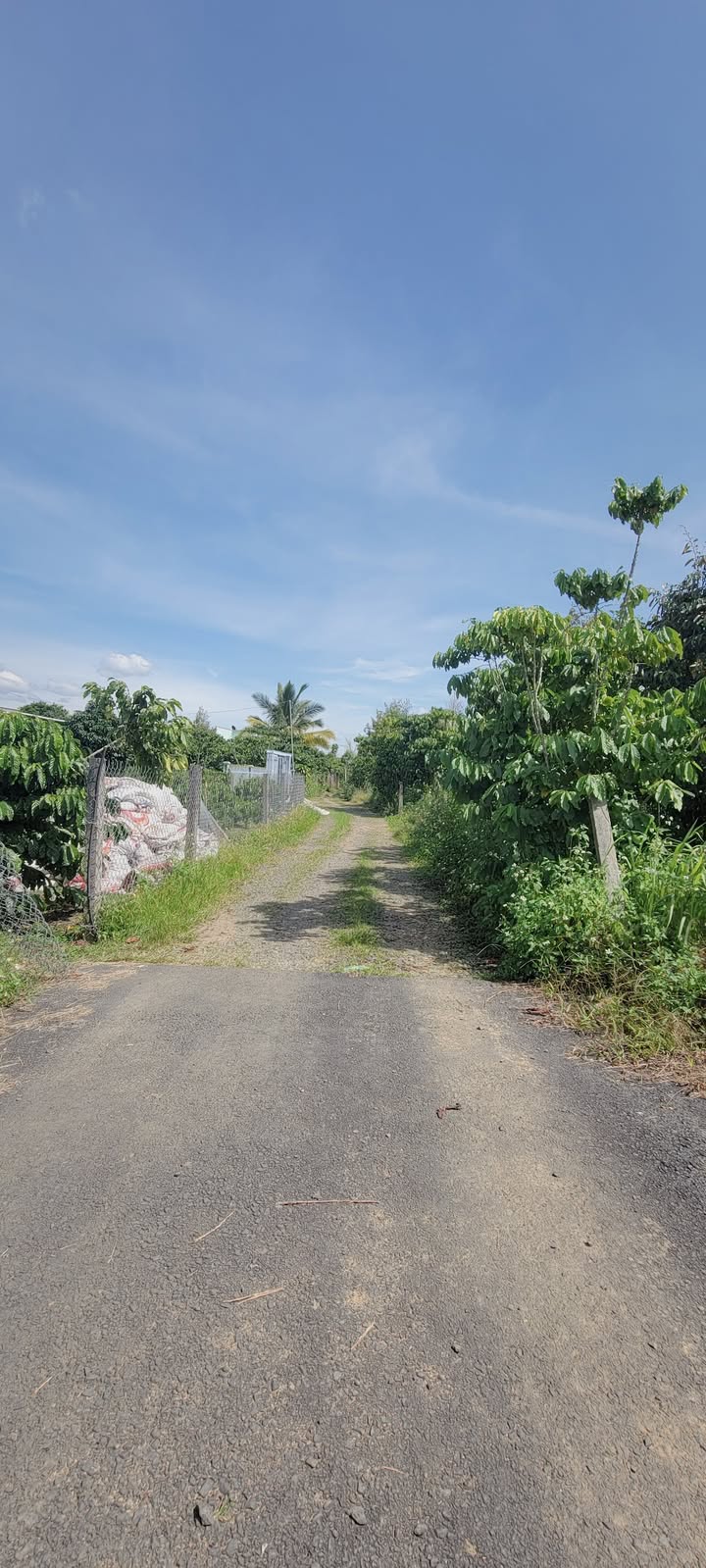 Đất thổ cư 150m² tại thôn 1 Tân Lạc - Chỉ 430 triệu, đầu tư ngay!