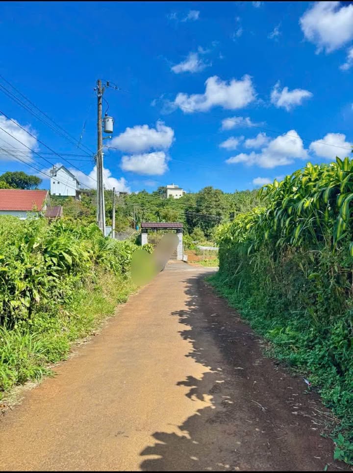 Đất nền Phường 2 Bảo Lộc 80m² giá 1.2 tỷ - Đường nhựa 6m thông thoáng!