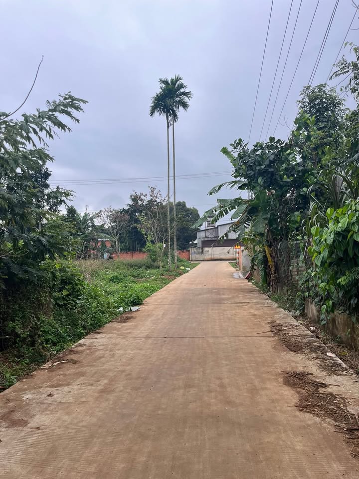 Đất thổ cư 313m² xã Ea Ktur, Đắk Lắk - Giá chỉ 443.52 triệu, cơ hội đầu tư tuyệt vời!