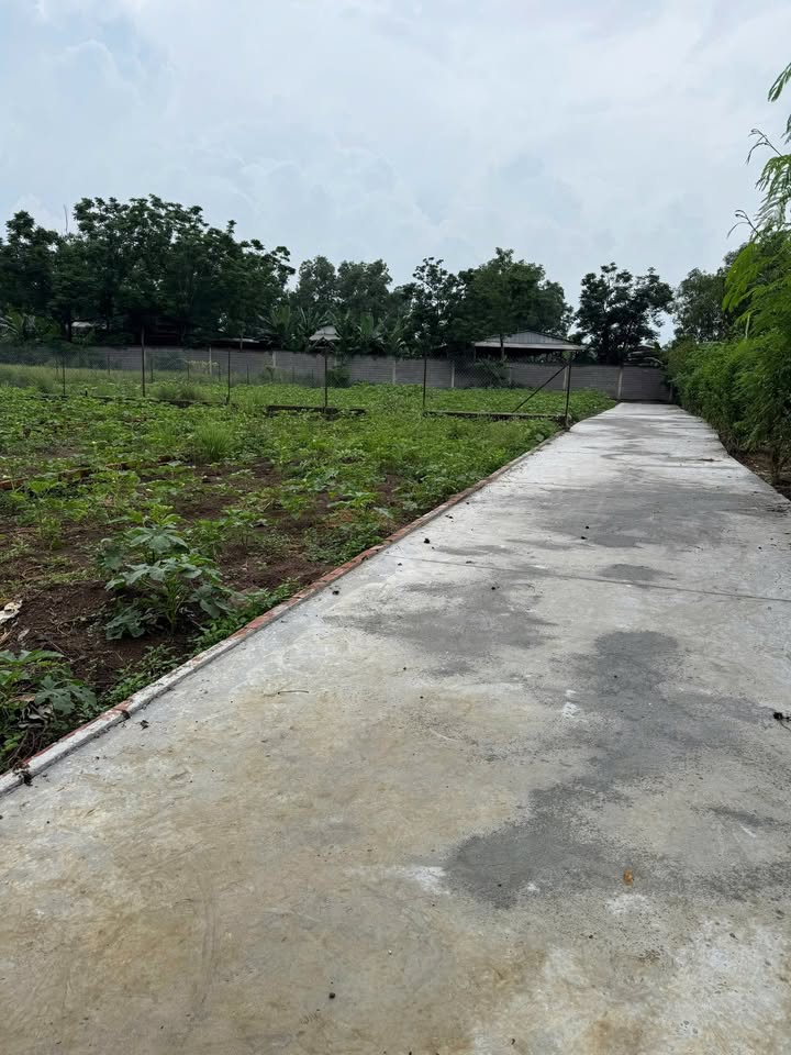 Đất thổ cư xã Gia Kiệm 110m² giá 520 triệu - Cơ hội đầu tư tuyệt vời!