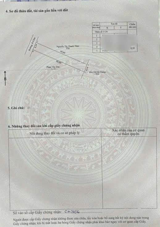 Đất nền Cây Thông Trong Phú Quốc 500m² giá 1 tỷ - Cơ hội đầu tư hấp dẫn!