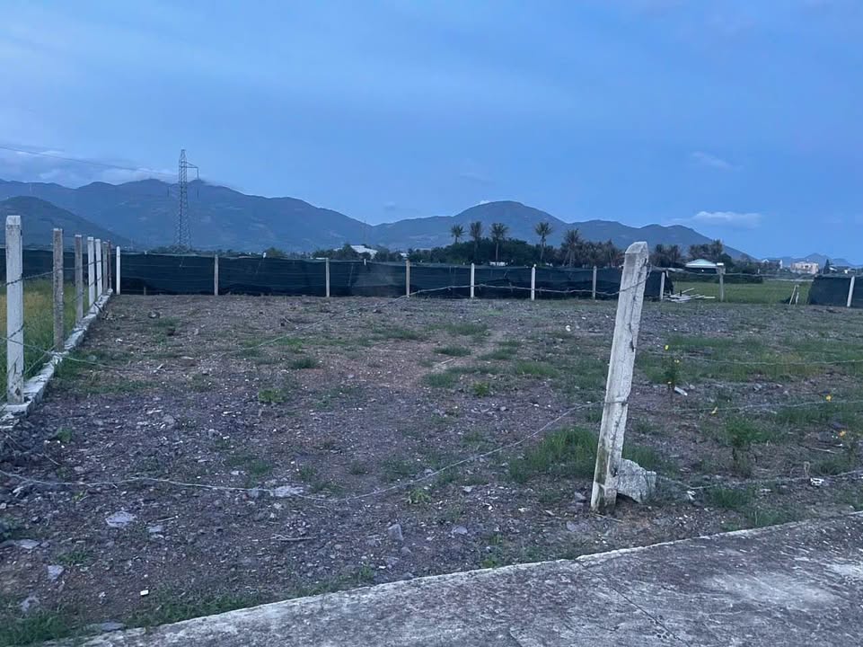 Đất thổ cư Diên Sơn, Diên Khánh 181m² giá 995 triệu - Ô tô vào tận nơi!