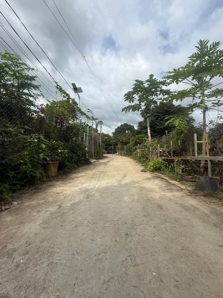 Đất nền Diên Lâm 421m² giá thỏa thuận - Cơ hội đầu tư hấp dẫn!