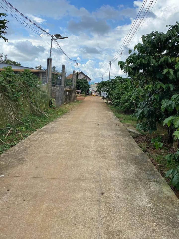 Đất nền Lộc Phát Bảo Lộc 1000m² giá 1.6 tỷ - Thương lượng nhẹ!