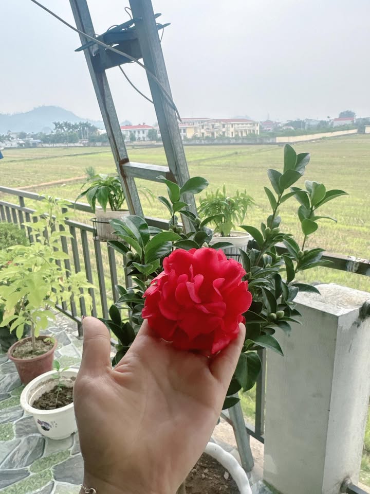 Đất thổ cư Bách Phương An Thắng 65m² giá 700 triệu - Sổ đỏ chính chủ!