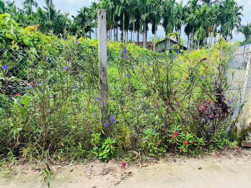 Đất nền Nghĩa Điền, Tư Nghĩa 108m² giá 600 triệu - Gần trung tâm Quảng Ngãi!