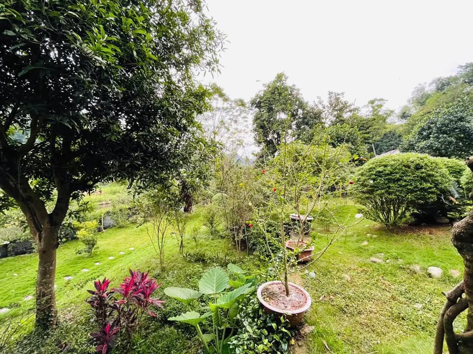 Biệt thự 4200m² tại Lào Cai - 11 tỷ VND - Thiết kế sang trọng, có thể ở 2 gia đình!