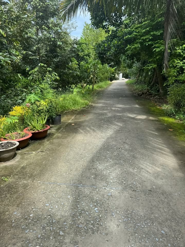 Đất nền Mỹ Khánh, Phong Điền 96m² giá 600 triệu - Ô tô vào tận nơi!