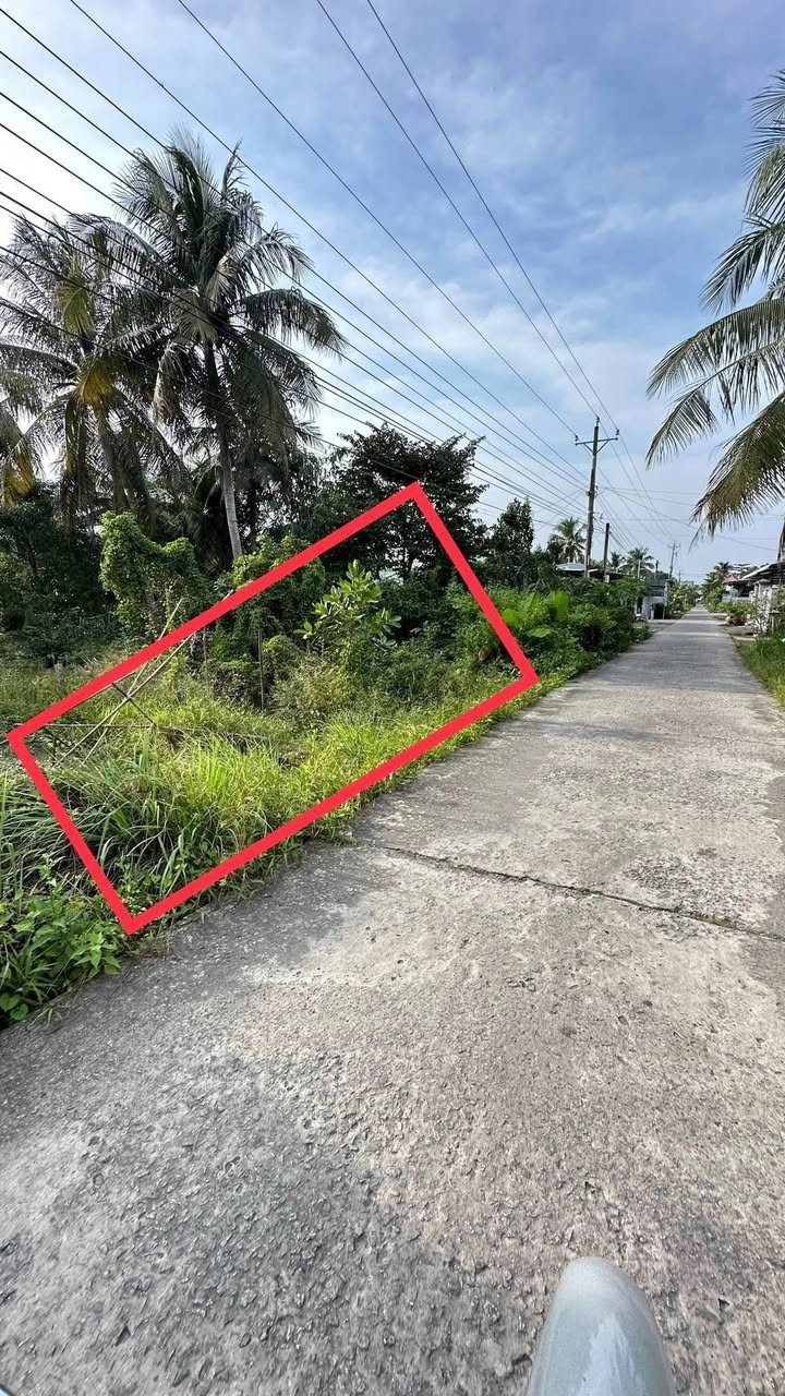 Đất ấp Gò Đất, Bình An 2900m² giá 1.67 tỷ - Vị trí đắc địa, cơ hội đầu tư!