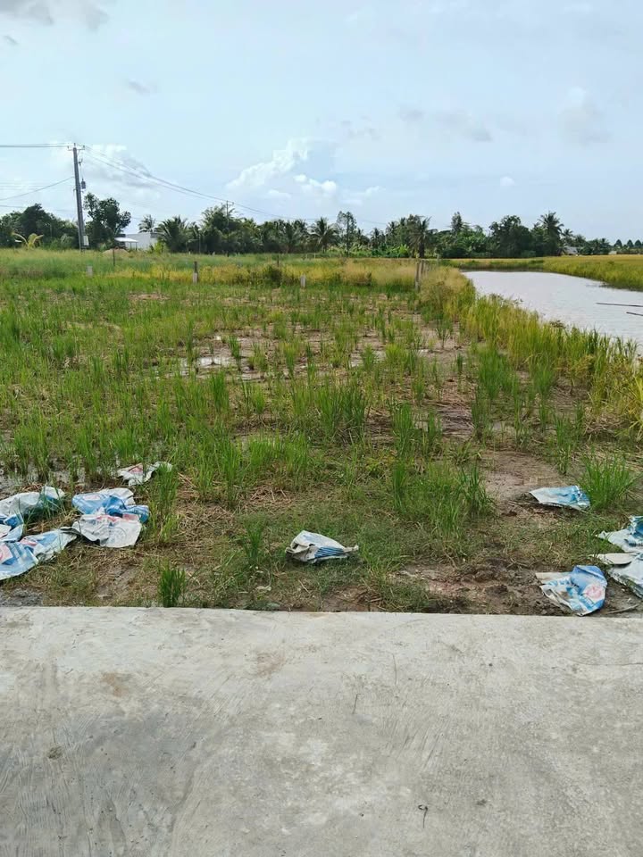 Đất nền Thạnh Lộc, Châu Thành, 145m² giá 290 triệu - Cơ hội đầu tư hấp dẫn!