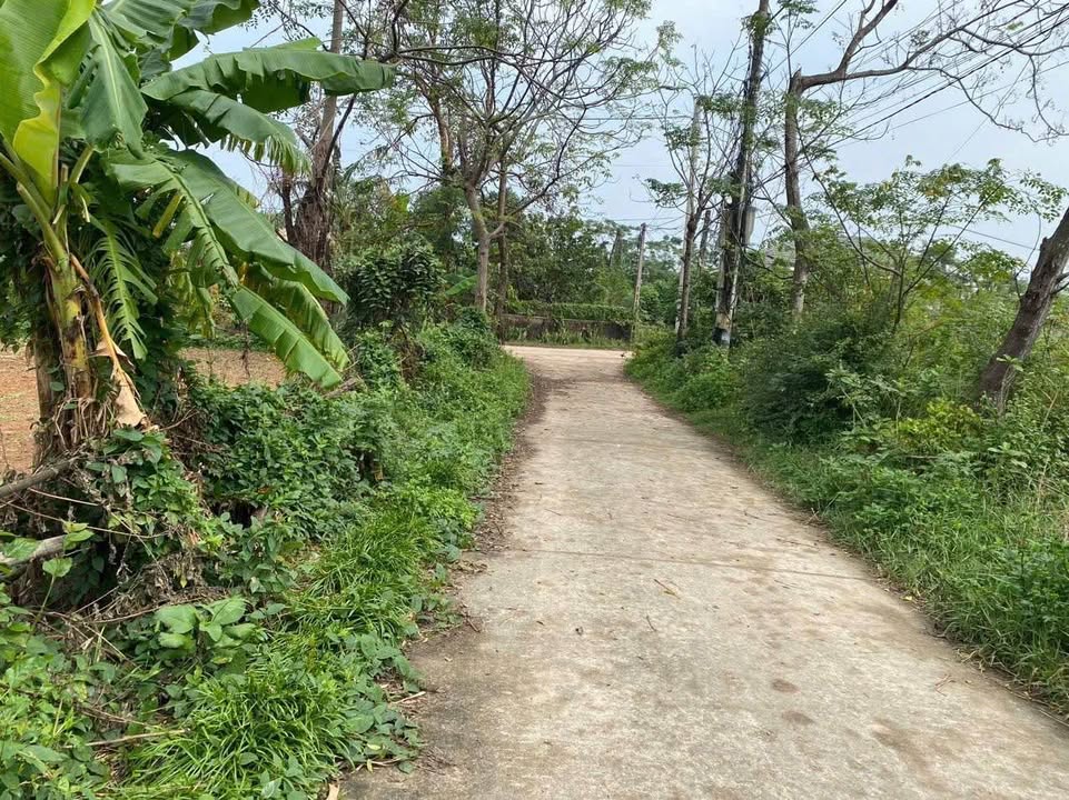 Đất nền Lộc Ninh, Đồng Hới 102m² giá mềm - Tiềm năng phát triển mạnh!