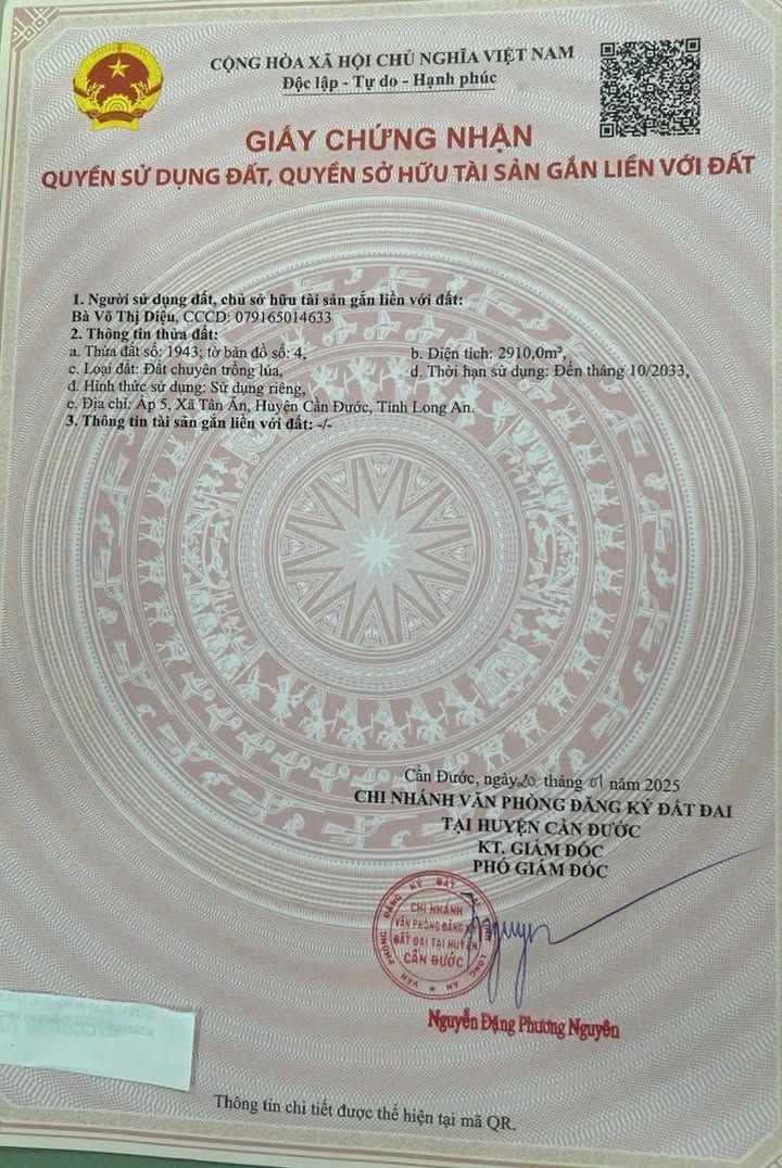 Bán đất trồng lúa 2.910m² tại Tân Ân, Cần Đước - Giá chỉ 2.4 tỷ!