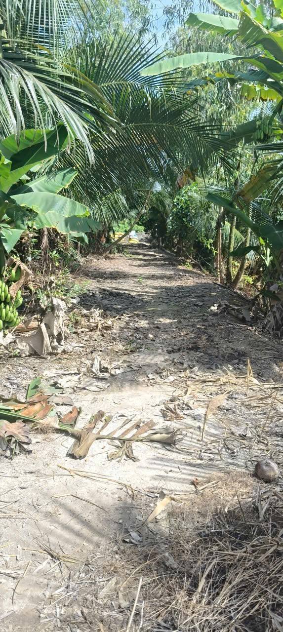 Đất vườn 2 mặt tiền sông Vàm Cỏ Đông, 3000m² giá 4.2 tỷ - Đầu tư sinh lời nhanh!