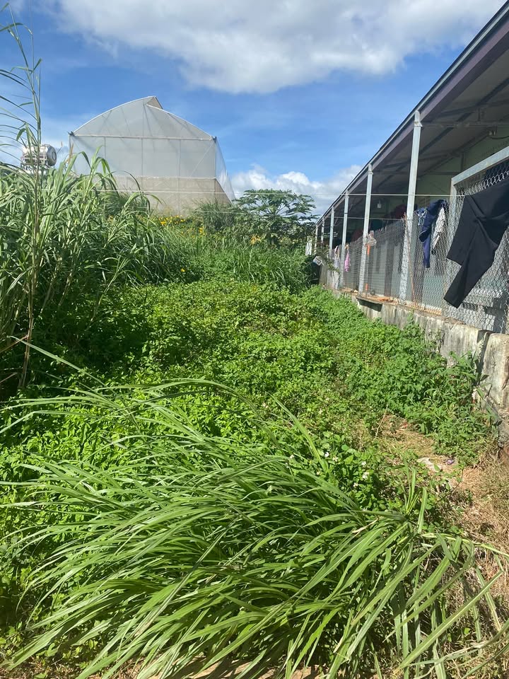 Đất nền Đạ Ròn 180m² giá 900 triệu - Đầu tư sinh lời ngay!