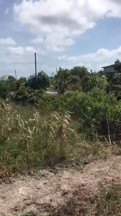 Đất Nền 22 Công Tại Xã Hàm Rồng, Năm Căn, Cà Mau - Giá 1.87 Tỷ, Sổ Hồng Chính Chủ!