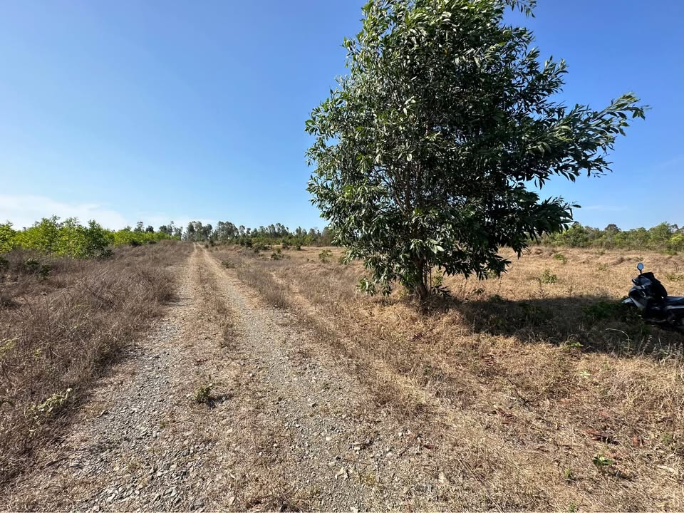 Đất nền chính chủ Tiến Thành, Phan Thiết 5ha giá 7.8 tỷ - Cơ hội đầu tư tuyệt vời!