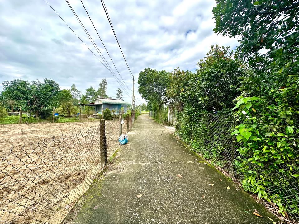 Đất vườn thôn Thọ Tân, Tam Ngọc, 450m² giá 1.5 tỷ - Vị trí đẹp, cao ráo!