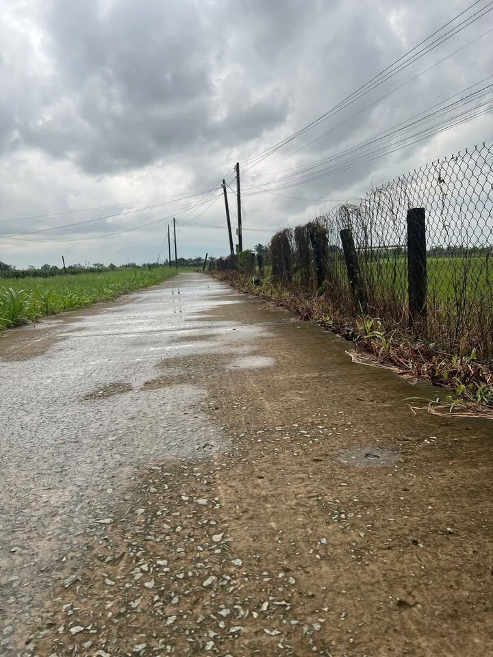 Đất thổ cư Bình Quới, Châu Thành, Long An 200m² giá 460 triệu - Sổ đỏ chính chủ