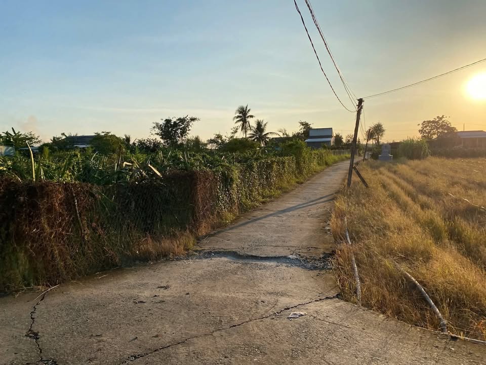 Đất lúa Hiệp Thạnh, Châu Thành 1200m² giá 1.15 tỷ - Đầu tư sinh lời hấp dẫn!