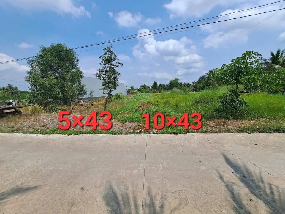 Đất thổ cư ấp 10, xã Lương Hòa, Bến Lức 216m² giá 1.3 tỷ - Cơ hội đầu tư tốt!