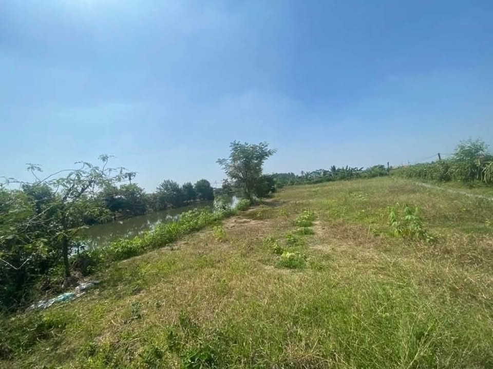 Lô đất nền vườn Tầm Vu Tây Ninh 1.157m² giá 1.45 tỷ - Đầu tư sinh lời ngay!