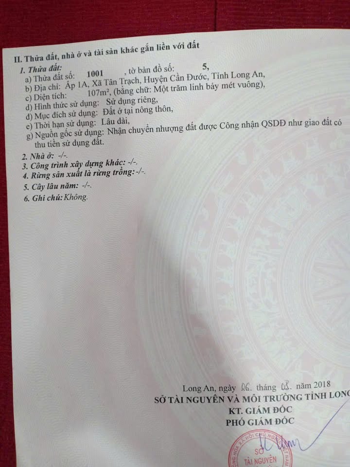 Đất nền Tân Trạch, Cần Đước 107m² giá 700 triệu - Cơ hội đầu tư tuyệt vời!