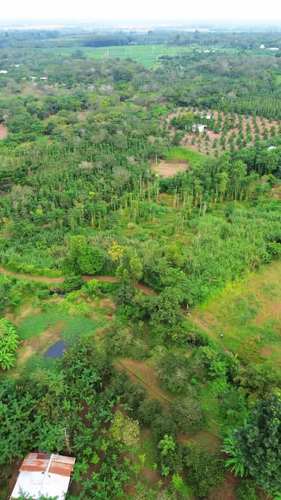 Đất sào Bàu Lâm 7000m² giá 3.01 tỷ - View suối thơ mộng