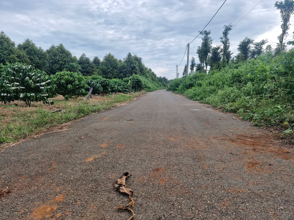 Đất thổ cư Nghĩa Thành, Châu Đức, 1158m² giá 1 tỷ - Cơ hội đầu tư tuyệt vời!