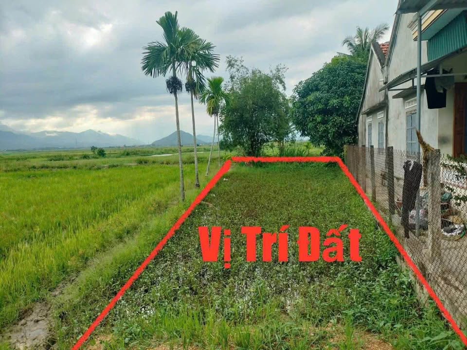 Đất thổ cư 216m² Thôn Vạn Hữu, Ninh Hòa - Giá 1.7 triệu/m² - Đầu tư sinh lời!